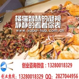 橘猫智慧的凝视静静的看着你表情包大全很多橘猫图片表情包‘亚博官网’(图4) 亚博官网