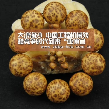 大浪淘沙 中国工程机械残酷竞争时代到来“亚博官网”(图1) 亚博平台