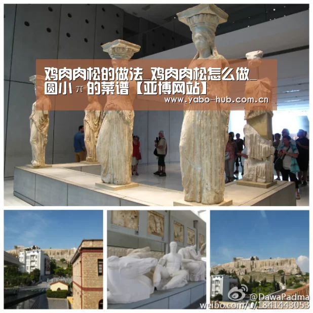 鸡肉肉松的做法_鸡肉肉松怎么做_圆小π的菜谱【亚博网站】(图2) 亚博app