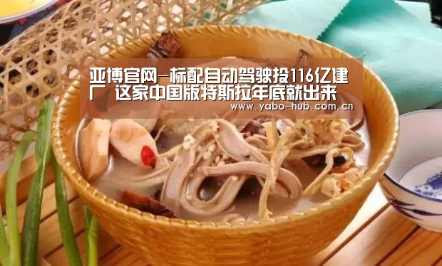 亚博官网-标配自动驾驶投116亿建厂 这家中国版特斯拉年底就出来(图3) 亚博网站