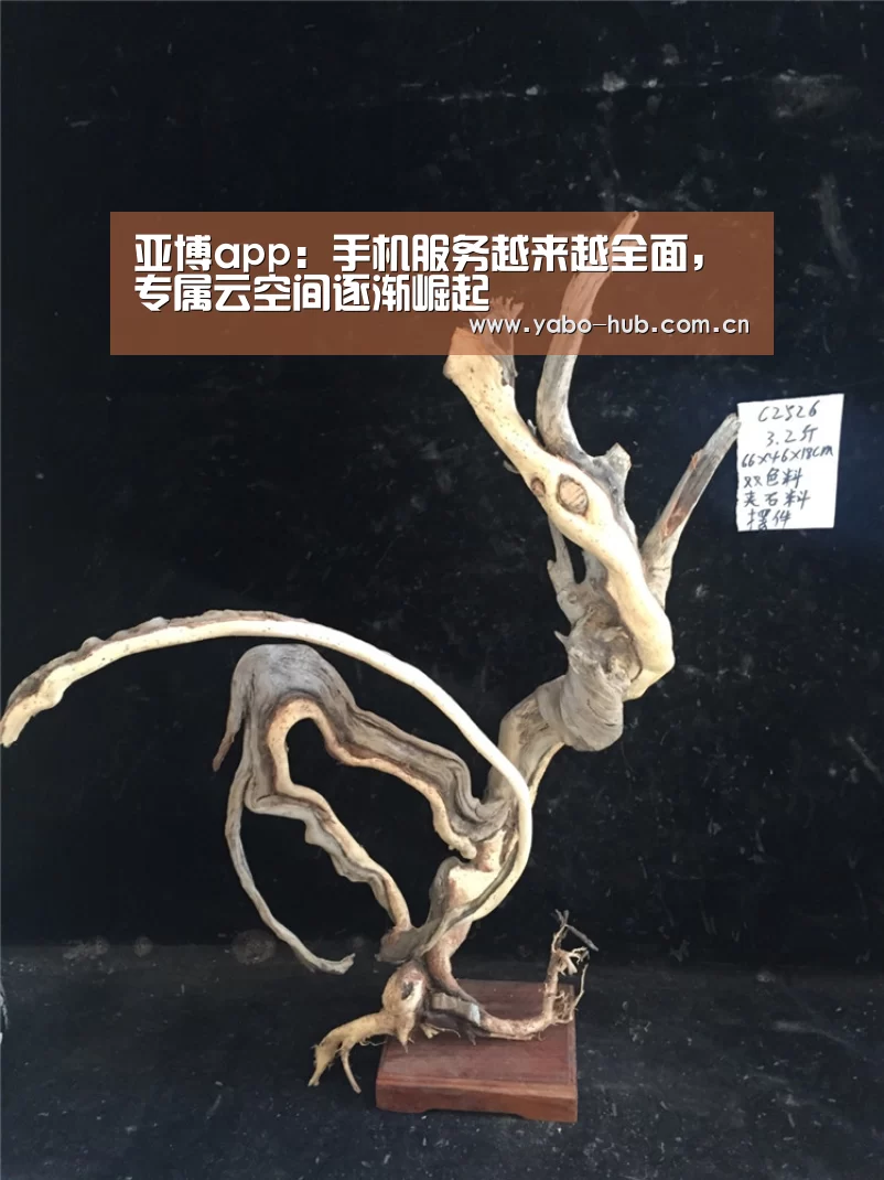 亚博app:手机服务越来越全面,专属云空间逐渐崛起(图2) 亚博app