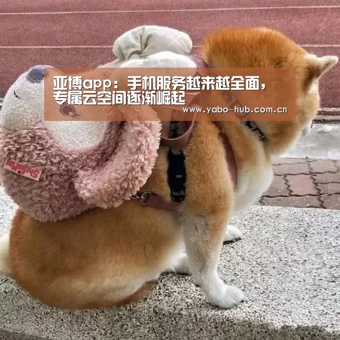 亚博app:手机服务越来越全面,专属云空间逐渐崛起(图4) 亚博平台
