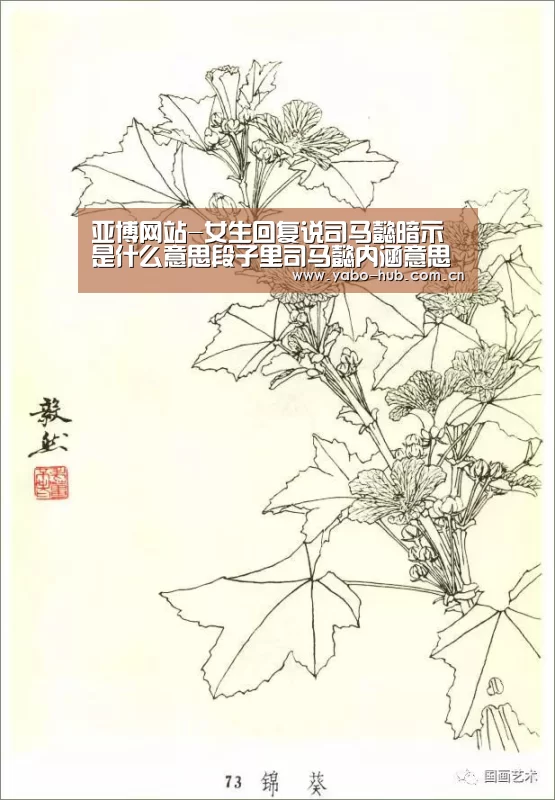 亚博网站-女生回复说司马懿暗示是什么意思段子里司马懿内涵意思(图3) 亚博平台