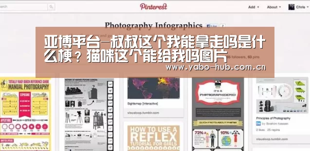 亚博平台-叔叔这个我能拿走吗是什么梗?猫咪这个能给我吗图片(图4) 亚博官网